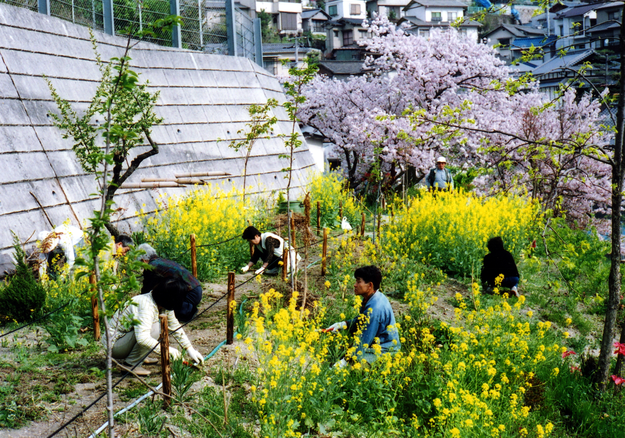 まちづくり部門受賞 環境美化活動(両城2地区)