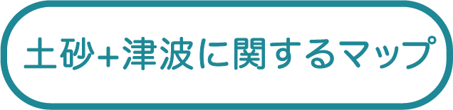 土砂災害+津波