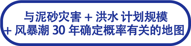 泥砂灾害+洪水 计划规模+风暴潮 30年确定概率