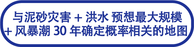 泥砂灾害+洪水 预想最大规模+风暴潮 30年确定概率
