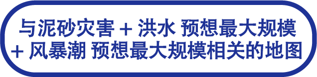 泥砂灾害+洪水 预想最大规模+风暴潮 预想最大规模