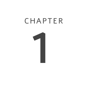 Chapter 1