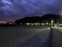 夏の夜にライトアップされる海岸