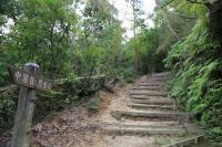 整備された登山道