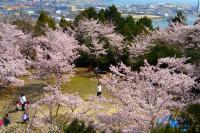 虹村大橋と大空山