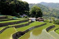 田植え直後の原垣内地区の棚田