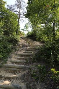 登山道