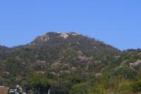 桜が彩る火山