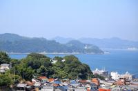 豊浜大橋から見る室原神社の社叢