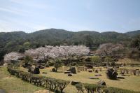 野呂川ダム公園