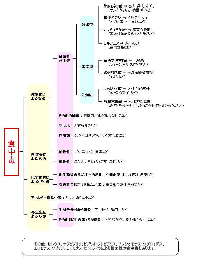 食中毒の分類