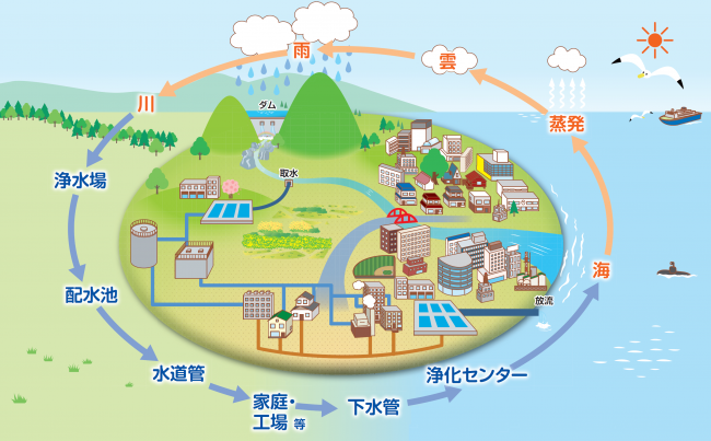 水の循環