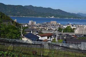 天応山側から海側を見た風景