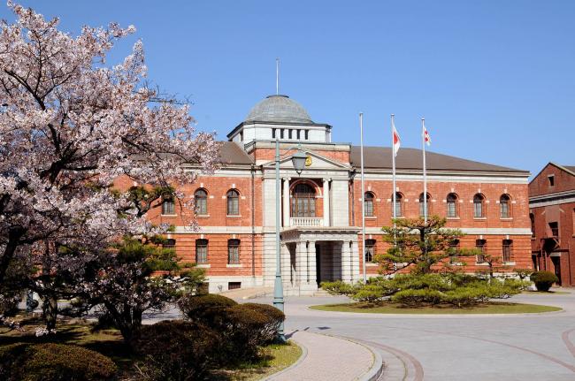 桜と第1庁舎