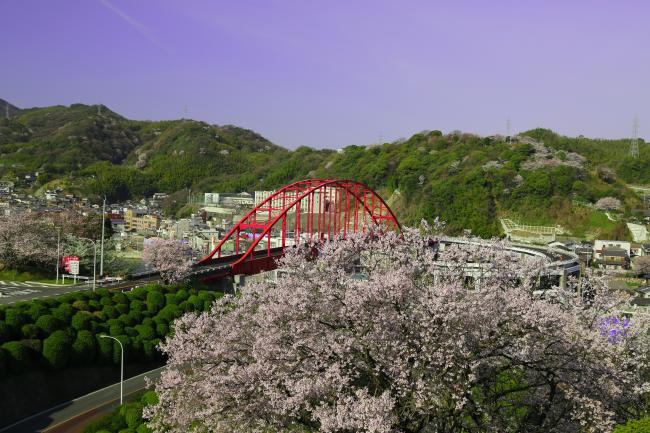 桜と音戸大橋