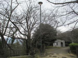 串山公園着手前