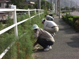 奨励賞受賞　南横路ロードボランティア