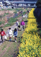 奨励賞受賞：二河川河川敷の菜の花