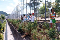 奨励賞受賞：昭和中央小学校運動場北道路花壇