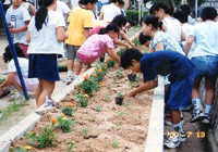 奨励賞受賞：郷町公園”ふれあい花壇”