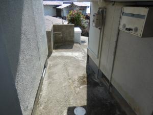 DSCN4362