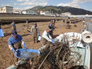 かき抑制棚周辺の土砂・流木の撤去作業