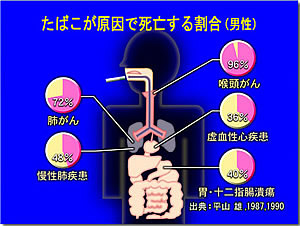 たばこが原因で死亡する割合