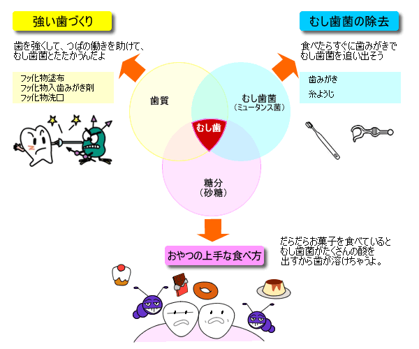 むし歯予防の３つの方法