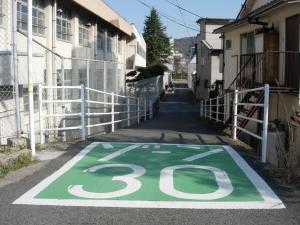 ゾーン30