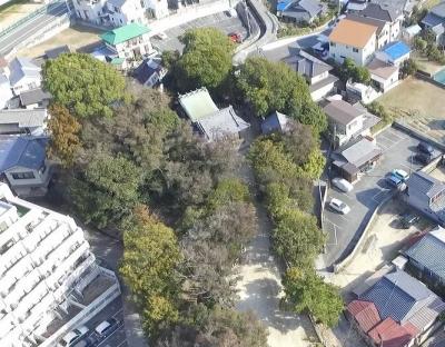 田中八幡神社の社叢