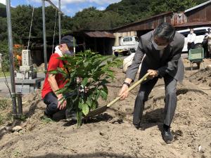 瀬戸内農場コーヒーハウスによる本州初の国産コーヒー苗木植樹