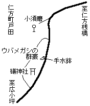 ウバメガシの群叢と舟形石の手水鉢地図