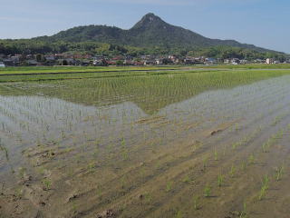 春の田園