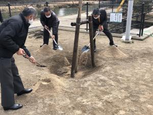 第8地区まちづくり委員会による桜の植樹式