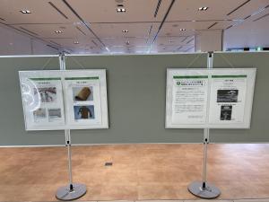 原爆ポスター展　写真③