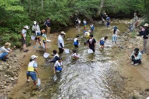 水生生物観察１