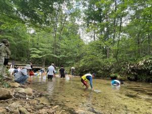 水生生物観察２