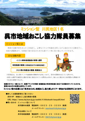 ミッション型（川尻）チラシ