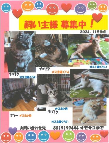 飼い主様募集中