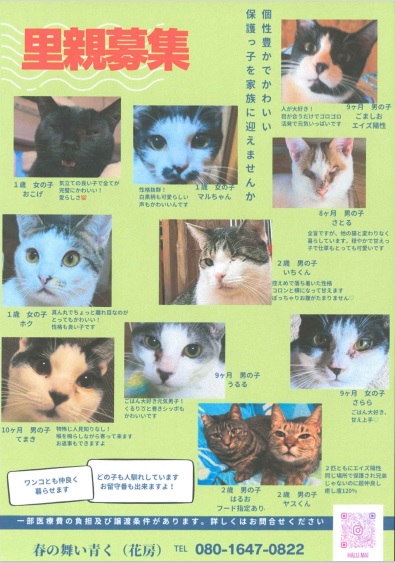 募集3