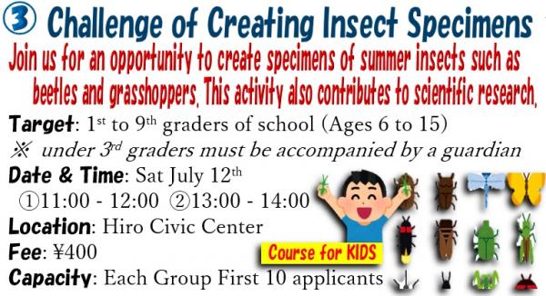 insects