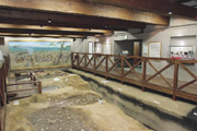  かまがり古代製塩遺跡復元展示館
