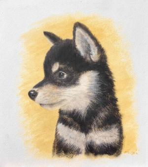 犬の絵