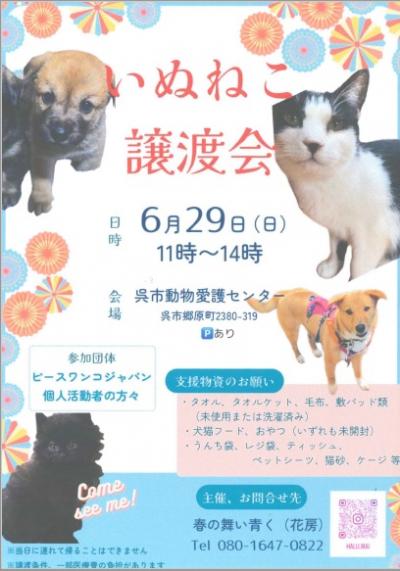 チラシ