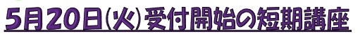 520