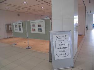 原爆パネル展　写真①