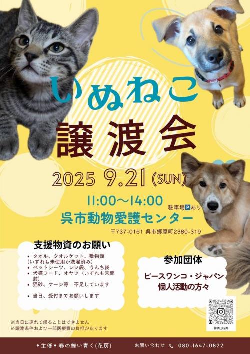 いぬねこ譲渡会