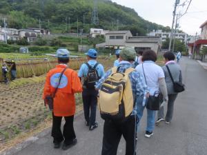 稲刈りの様子を見学