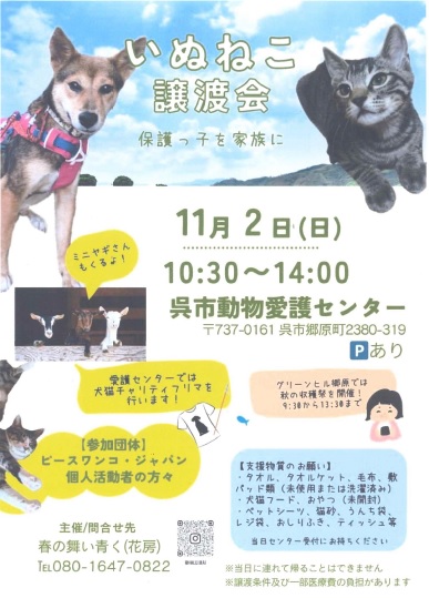 犬猫譲渡会