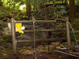 桂の滝